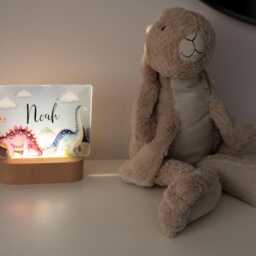 Personalised Dinosaur Night Light, Boys Bedroom D??cor, Bedside Lamp - thumbnail 4