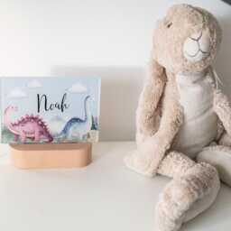 Personalised Dinosaur Night Light, Boys Bedroom D??cor, Bedside Lamp - thumbnail 3