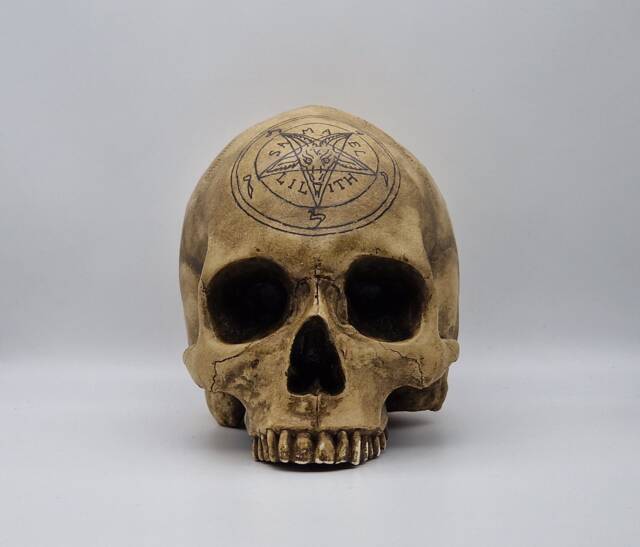 Baphomet Skull . Plaster Of Paris Life Size Human Replica - image 1