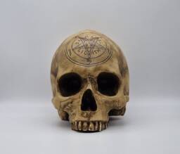 Baphomet Skull . Plaster Of Paris Life Size Human Replica - thumbnail 1