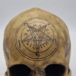 Baphomet Skull . Plaster Of Paris Life Size Human Replica - thumbnail 2