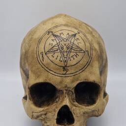 Baphomet Skull . Plaster Of Paris Life Size Human Replica - thumbnail 3