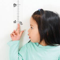 Clear Height Chart Wall Sticker - thumbnail 3