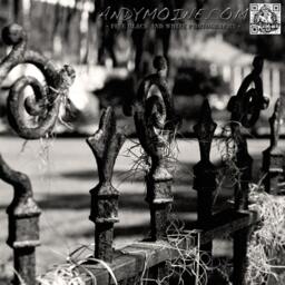New Orleans Louisiana, Black & White Throw Pillow, Decorative Iron Fence With Spanish Moss, Pillow - thumbnail 2
