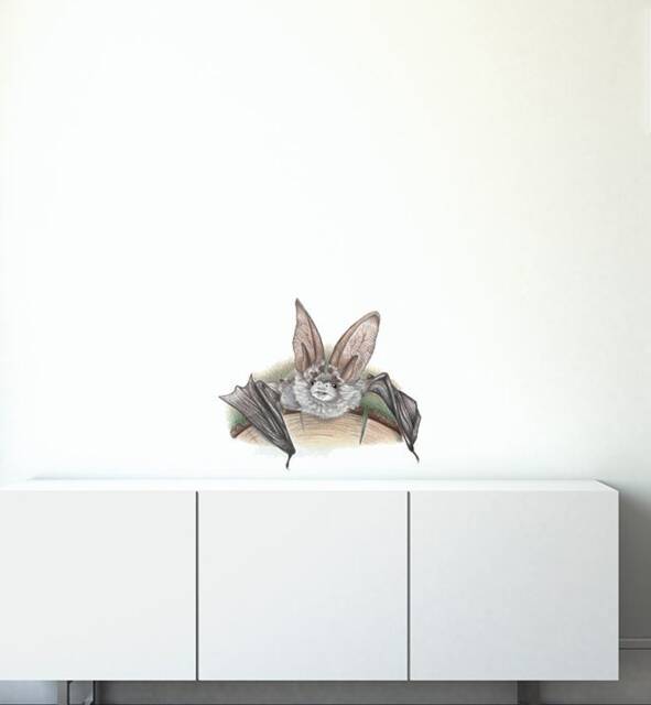 Crawling Bat Wall Sticker Decal - Kids Stickers, Animals Childrens Decals, Art, Room, Girl, Boy