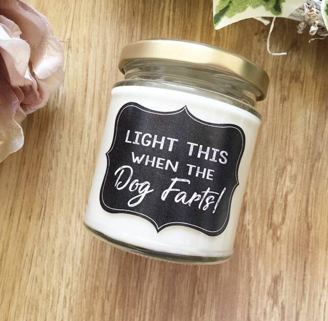 Funny Dog Farts Candle, Pet Odor Eliminator - image 1