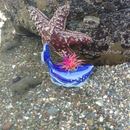 A Baby Spouting Whale Planter - thumbnail 2