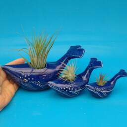 A Baby Spouting Whale Planter - thumbnail 3