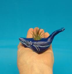 A Baby Spouting Whale Planter - thumbnail 1