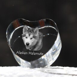 Alaskan Malamute, Crystal Heart With Dog, Souvenir, Decoration, Limited Edition, Collection - thumbnail 2