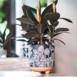 Handcrafted Terracotta Mushroom Planter - Boho Modern Decor Pot