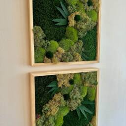 Preserved Moss Wall Art Square Frame With Flowers & Fern - Usa - Tariff Free - thumbnail 3