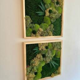 Preserved Moss Wall Art Square Frame With Flowers & Fern - Usa - Tariff Free - thumbnail 2