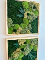 Preserved Moss Wall Art Square Frame With Flowers & Fern - Usa - Tariff Free - thumbnail 1