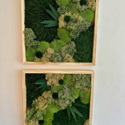 Preserved Moss Wall Art Square Frame With Flowers & Fern - Usa - Tariff Free - thumbnail 4