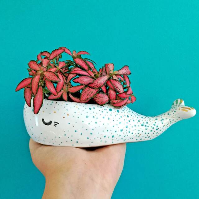 Succulent Planter, Whale Lover Pot, Ceramic Kids Room Decor, Animal Mini Housewarming Gift - image 1