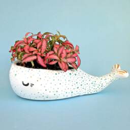 Succulent Planter, Whale Lover Pot, Ceramic Kids Room Decor, Animal Mini Housewarming Gift - thumbnail 4