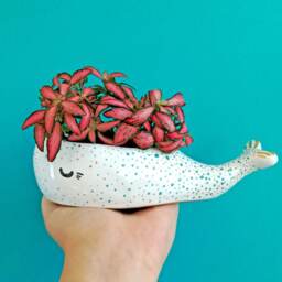 Succulent Planter, Whale Lover Pot, Ceramic Kids Room Decor, Animal Mini Housewarming Gift