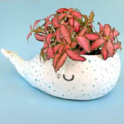 Succulent Planter, Whale Lover Pot, Ceramic Kids Room Decor, Animal Mini Housewarming Gift - thumbnail 2