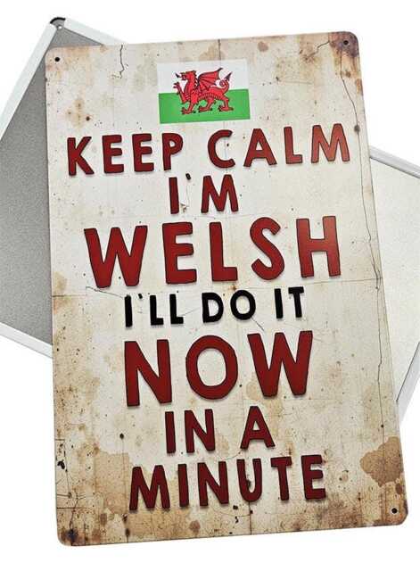 Welsh Dragon Metal Wall Sign, Keep Calm I'm I Ll Do It Now in A Minute, Funny Vintage-style Home Decor, Red Dragon - image 1
