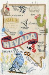 Nevada State Pillow With Featsher Insert - thumbnail 4