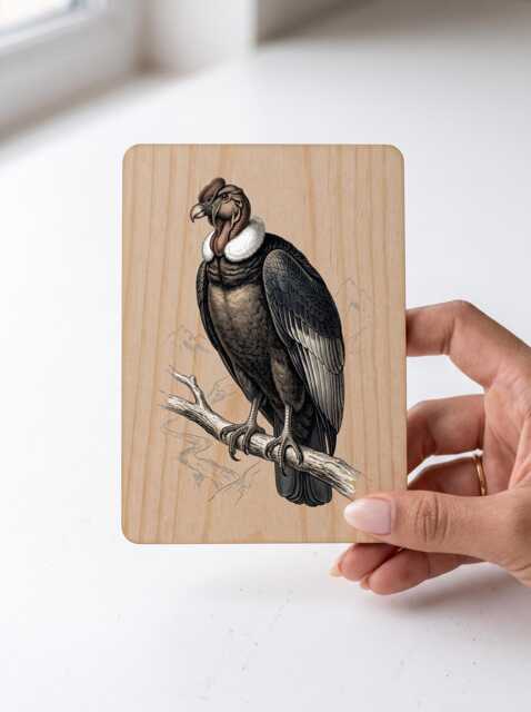 Andean Condor Art Print - Vintage Andes Bird Of Prey Pine Wooden Postcard Wall - image 1