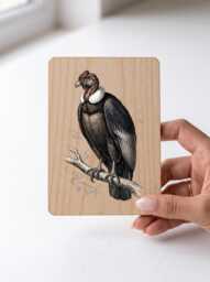 Andean Condor Art Print - Vintage Andes Bird Of Prey Pine Wooden Postcard Wall - thumbnail 1
