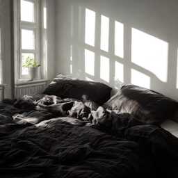 Black Linen Bedding Set Rustic Duvet Cover & 2 Pillowcases Soft Medium Weight Bedding, Stonewashed Comfort - thumbnail 4