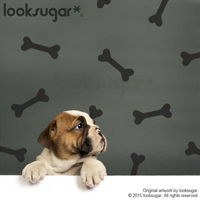 Dog Bone Wall Decals . Removable Stickers For Pet Shops Grooming Decals, Vet Gifts Room D??cor Peel & Stick Ap0054Nf - image 1