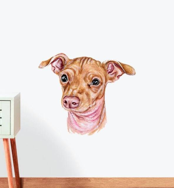 Small Brown Whippet Wall Sticker Decal - Dogs & Pets Stickers, Art, Decals, Kids Animals Decals