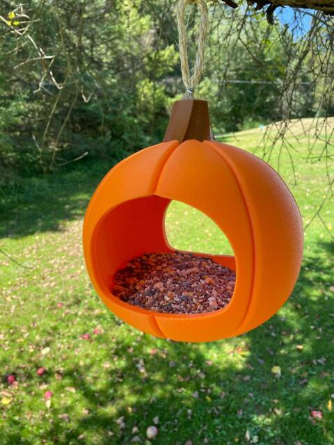 Pumpkin Paradise Bird Feeder - image 1