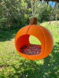 Pumpkin Paradise Bird Feeder - thumbnail 1