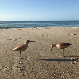 Shorebird Decoy Carving - thumbnail 4
