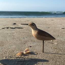 Shorebird Decoy Carving - thumbnail 2