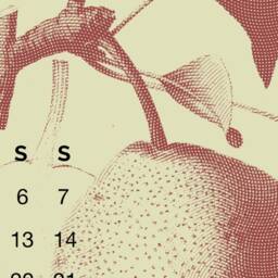2026 Wall Calendar, Botanical Gift, Calendar 2026, Gift For Her, Rose Gold Clip, Plant Set Copper Decor - thumbnail 2