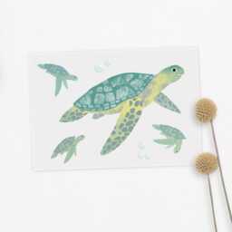 Iron-On Turtle - thumbnail 3