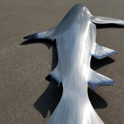 Black Tip Shark Art, Metal Wall Fish Ocean Fishing Gift, Tropical Decor, Handmade Art - thumbnail 3