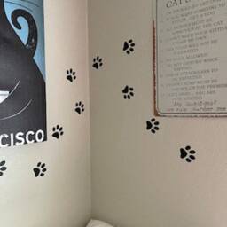 Cat Paws Prints Lot 50 Prints Choose Your Size Vinyl Decal Sticker Wall Car Lap Top Decoration, Cat Prints, Create Own Design - thumbnail 1