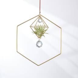 Petite Hanging Air Plant Holder Hexagon With Prism, Hanger, Geometric Plant, Display, Lover Gift, Decor