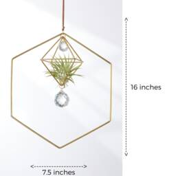 Petite Hanging Air Plant Holder Hexagon With Prism, Hanger, Geometric Plant, Display, Lover Gift, Decor - thumbnail 2