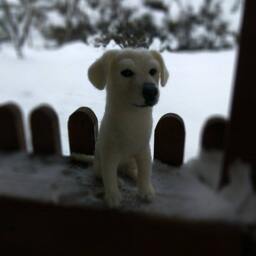 Needle Felted White Labrador Sculpture, Realistic Dog Memorial Gift - thumbnail 4