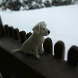 Needle Felted White Labrador Sculpture, Realistic Dog Memorial Gift - thumbnail 3