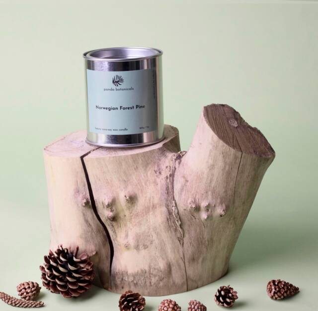 Norwegian Mist & Forest Pine Soy Wax Candle - Eco Tin - image 1