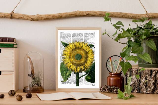 Sunflower Art Print Botanical Illustration On Upcycled Book Page - image 1