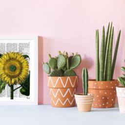 Sunflower Art Print Botanical Illustration On Upcycled Book Page - thumbnail 2
