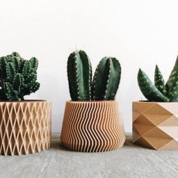 Set Of 3 Small Wooden Planters Perfect For Succulents Or Cacti - thumbnail 2