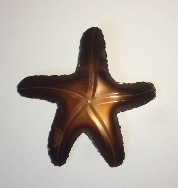 Copper Starfish/Copper Fish Art/Metal Coastal Wall Decor/Copper Decor/Kitchen Decor/Metal Art/Copper Decor/Coastal Decor
