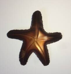 Copper Starfish/Copper Fish Art/Metal Coastal Wall Decor/Copper Decor/Kitchen Decor/Metal Art/Copper Decor/Coastal Decor