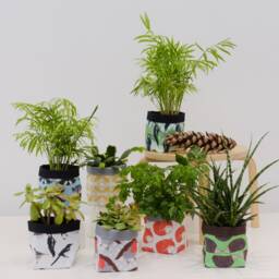 Robin Print Fabric Plant Pot - Waterproof Textile Storage Basket - thumbnail 2
