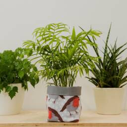 Robin Print Fabric Plant Pot - Waterproof Textile Storage Basket